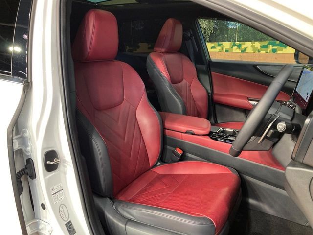 LEXUS NX250