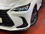 LEXUS NX250