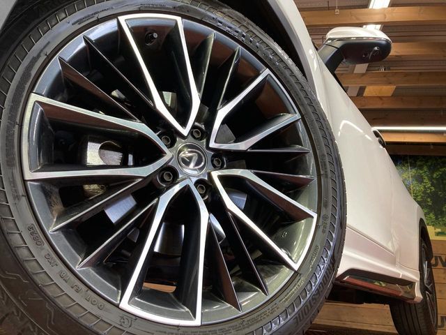LEXUS NX250