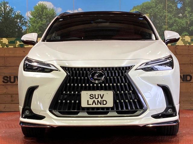 LEXUS NX250