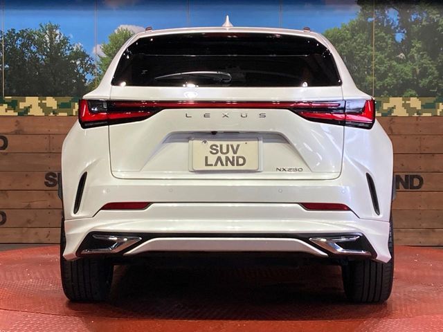 LEXUS NX250