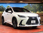 LEXUS NX250