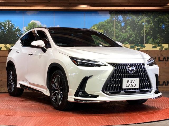 LEXUS NX250