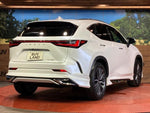 LEXUS NX250