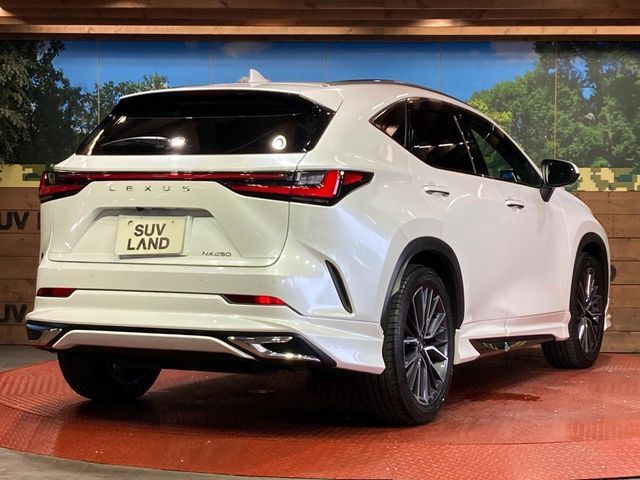 LEXUS NX250