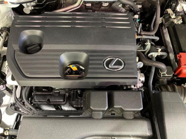 LEXUS NX250