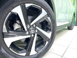 RAIZE HYBRID