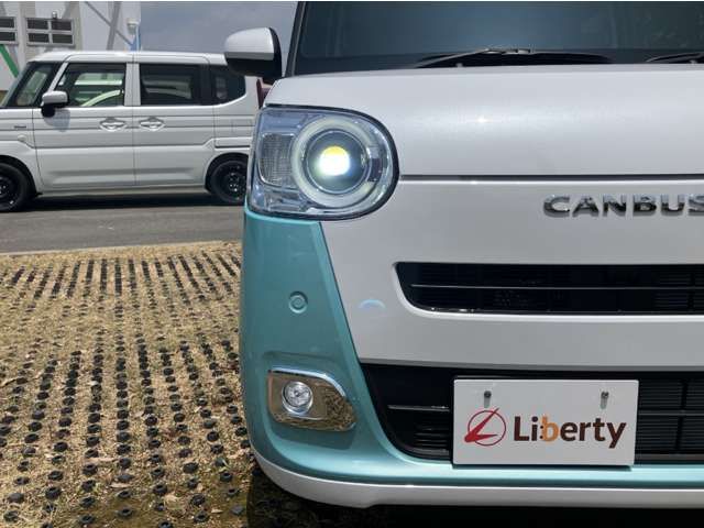 MOVE canbus