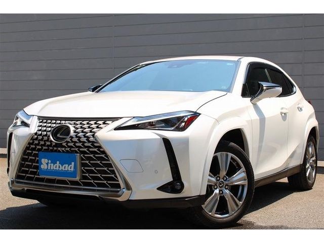 LEXUS UX250h