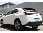 LEXUS UX250h