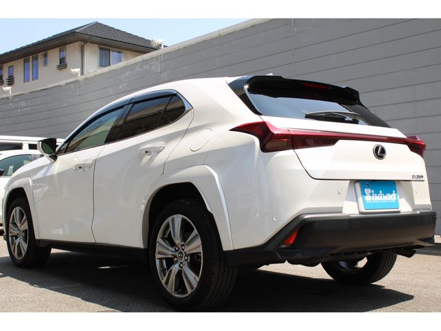 LEXUS UX250h