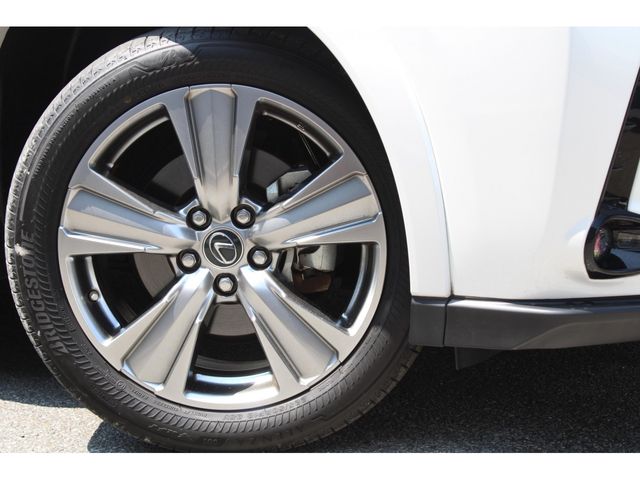 LEXUS UX250h