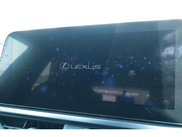 LEXUS UX250h