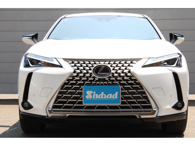 LEXUS UX250h