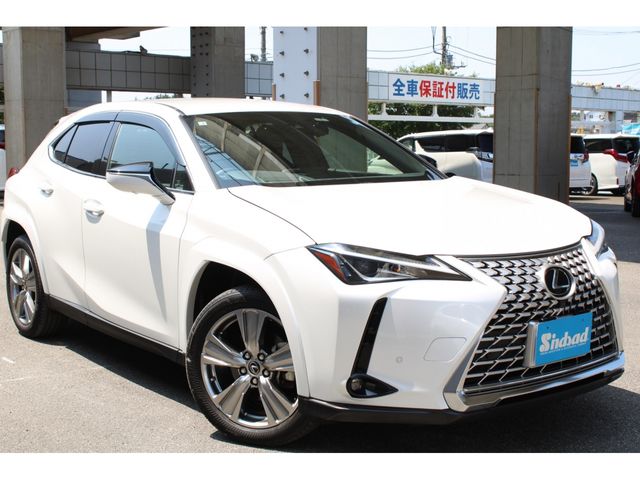 LEXUS UX250h