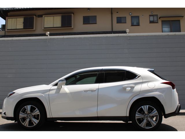LEXUS UX250h