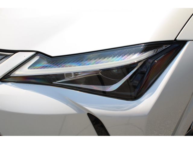 LEXUS UX250h