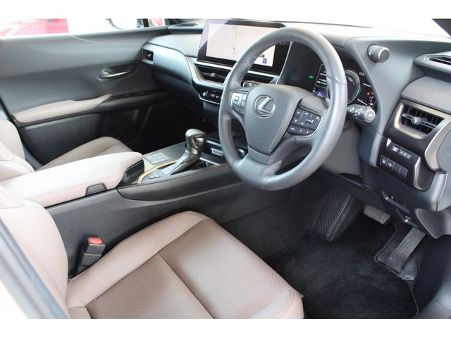 LEXUS UX250h