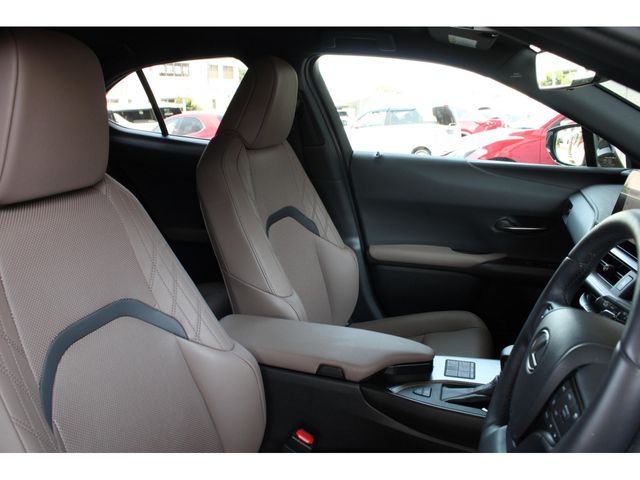 LEXUS UX250h