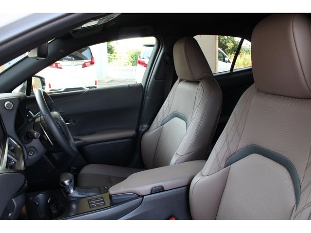 LEXUS UX250h