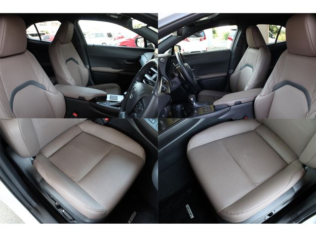 LEXUS UX250h