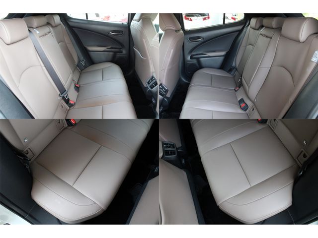 LEXUS UX250h
