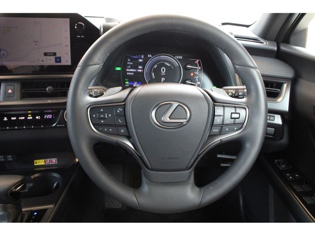 LEXUS UX250h