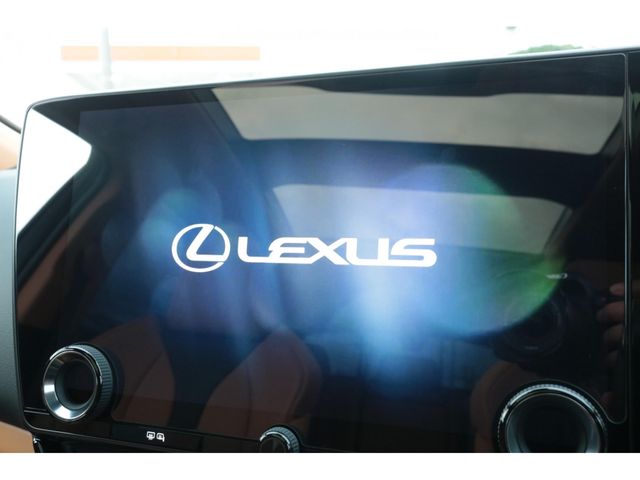 LEXUS NX350h