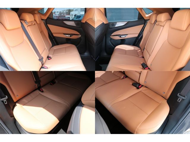 LEXUS NX350h