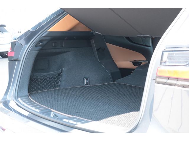 LEXUS NX350h