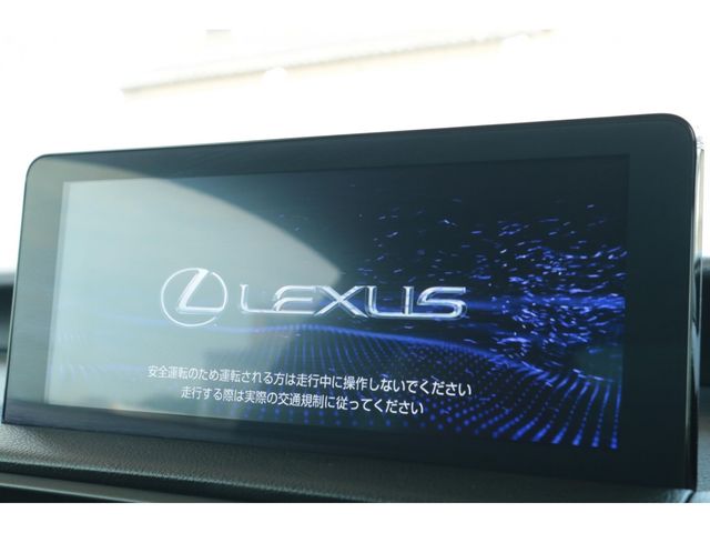 LEXUS RC300h