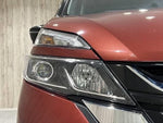 SERENA  S-HYBRID