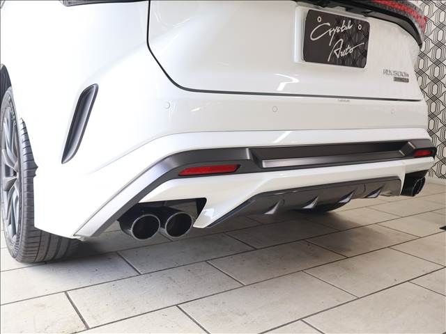 LEXUS RX500h
