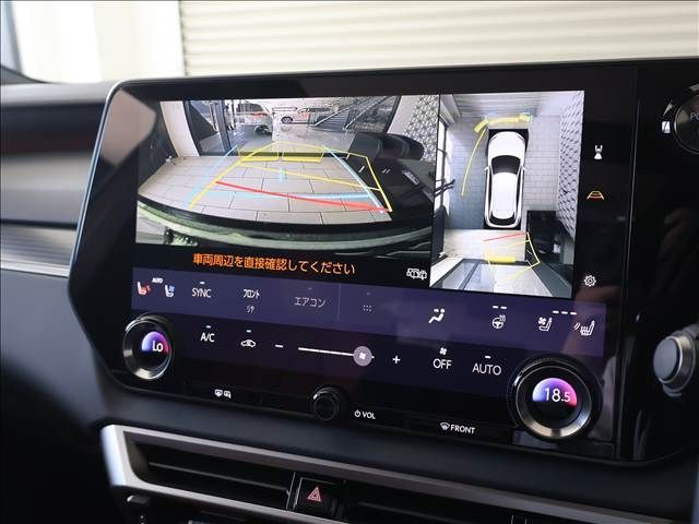 LEXUS RX500h