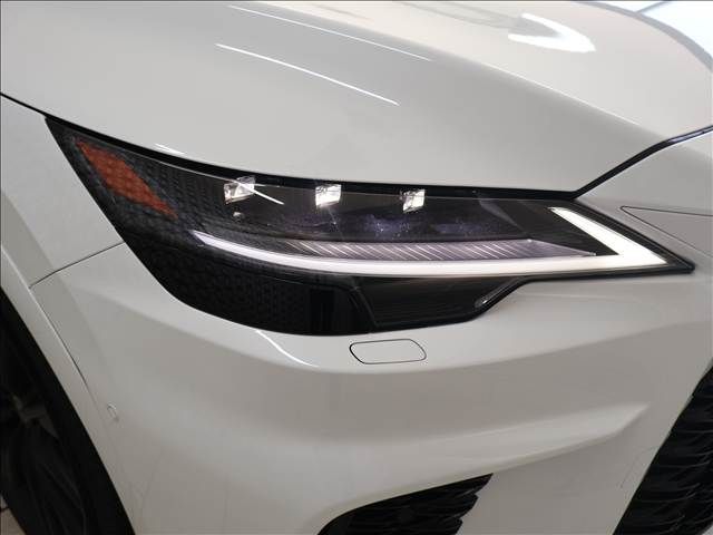 LEXUS RX500h