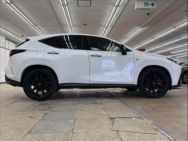 LEXUS NX450h+ AWD