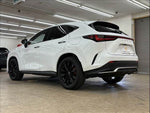 LEXUS NX450h+ AWD