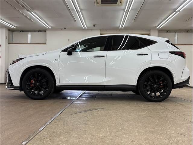 LEXUS NX450h+ AWD