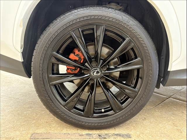 LEXUS NX450h+ AWD