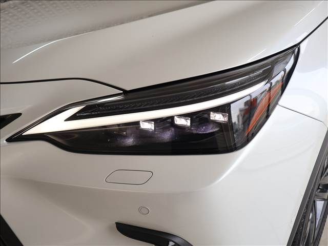 LEXUS NX350h AWD