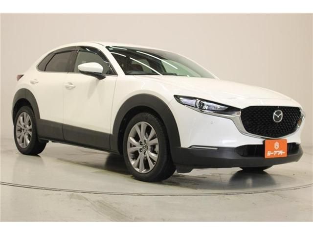 CX-30