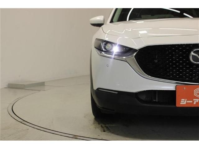 CX-30