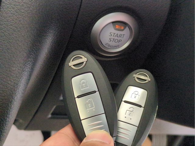 CARAVAN van 4WD