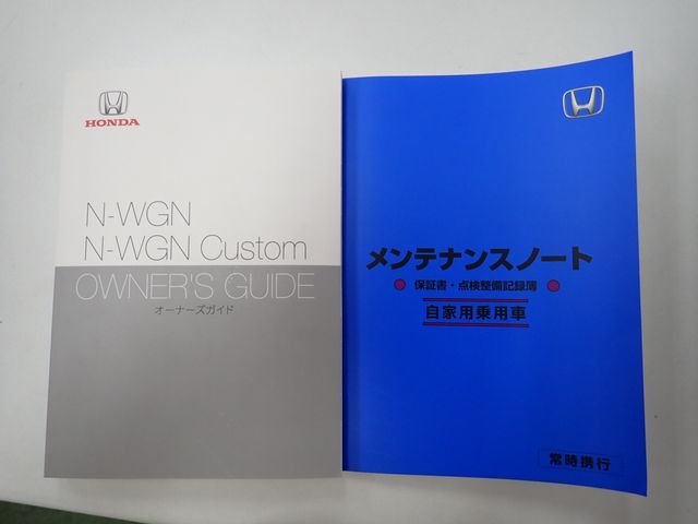 N-WGN