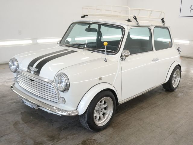 ROVER MINI