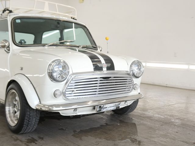 ROVER MINI