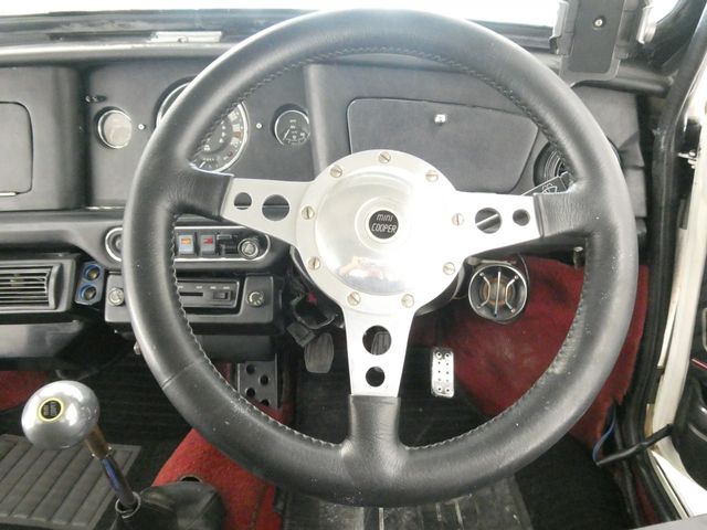 ROVER MINI