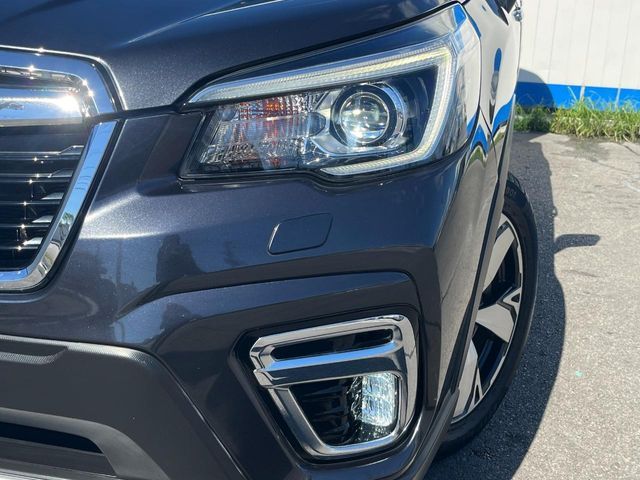 FORESTER
