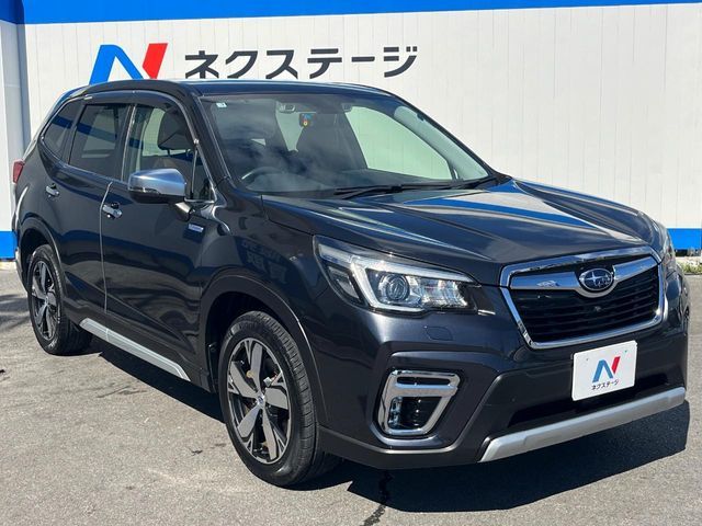 FORESTER