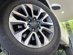 LANDCRUISER PRADO